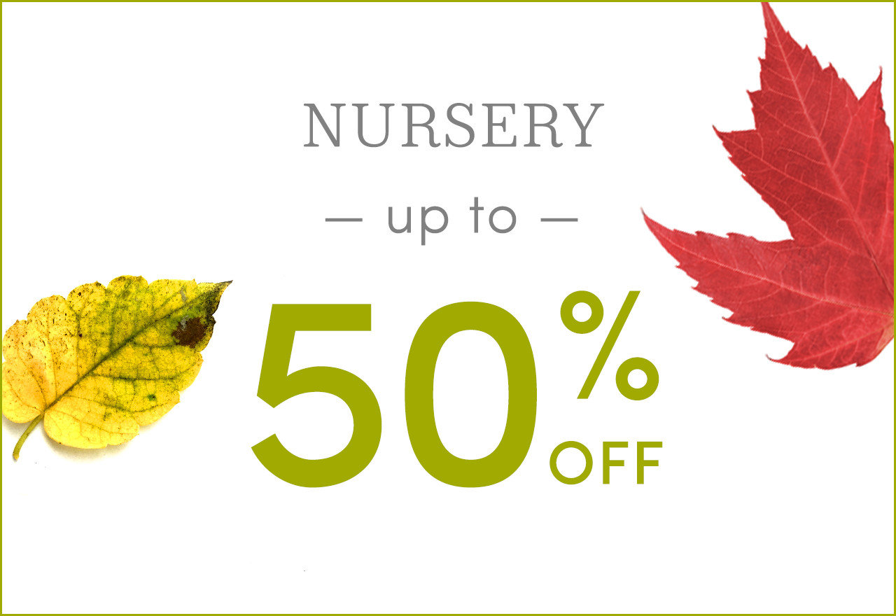 [BIG SALE] Nursery Clearance You’ll Love In 2022 Wayfair