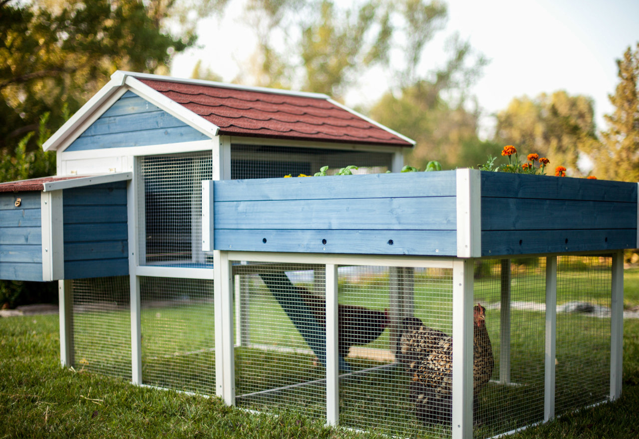 [BIG SALE] Chicken Coops & FarmGarden Gear You’ll Love In 2023 Wayfair