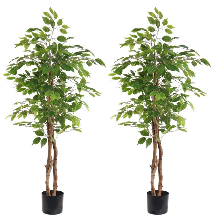 Decorative Natural Looking Artificial Home/Office 5' Ficus Silk Tree Plants 