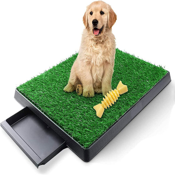 Dog Potty Pet Training Grass Mat, Plastic Dog Toilet Non- With