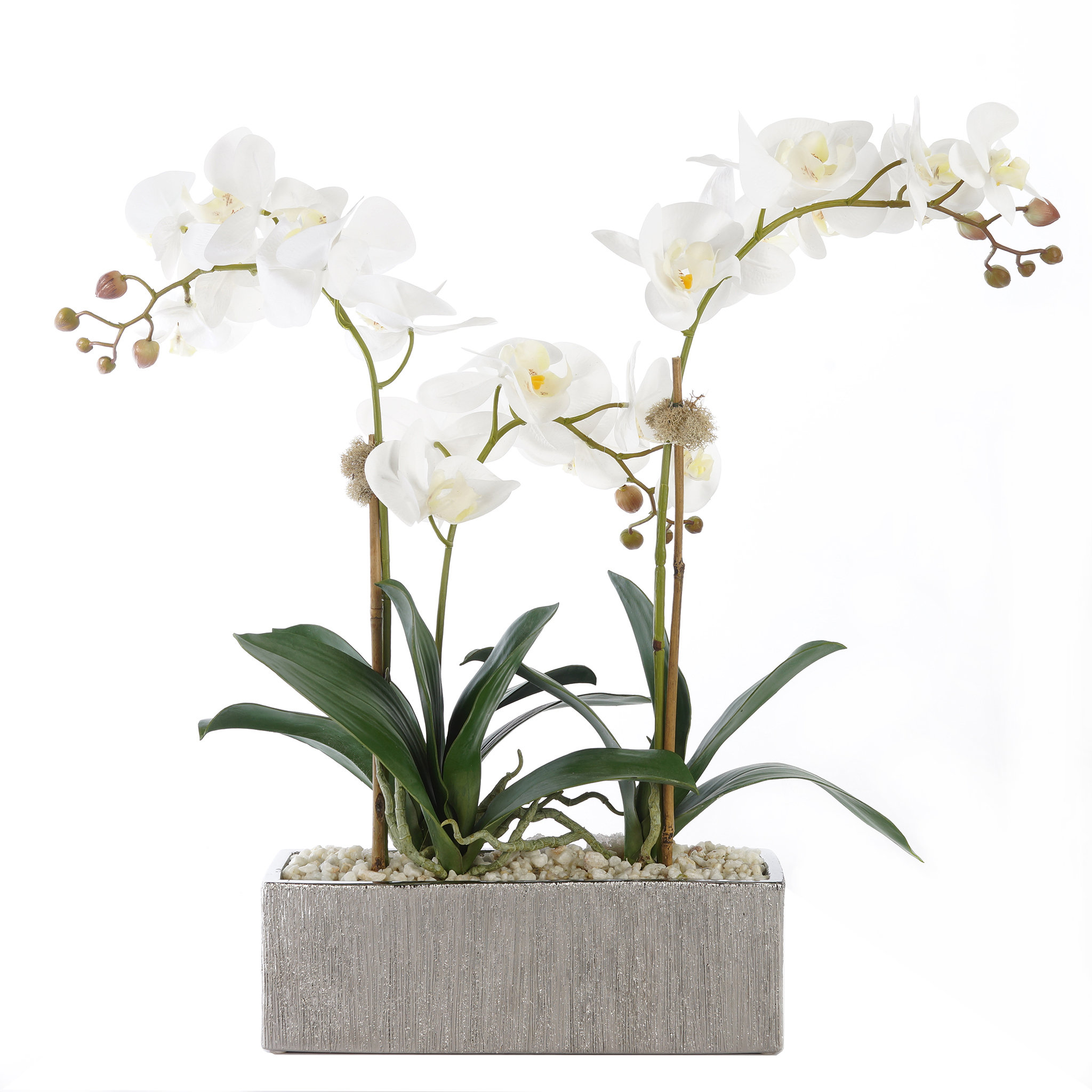JennySilks Real Touch Cream White Phalenophsis Orchids With Geodes & White Pebbles Flower
