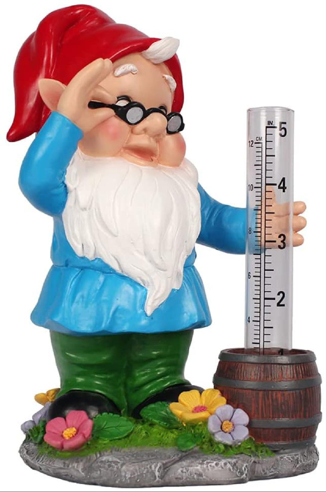 Arlmont & Co. Gnome Rain Gauge Wayfair