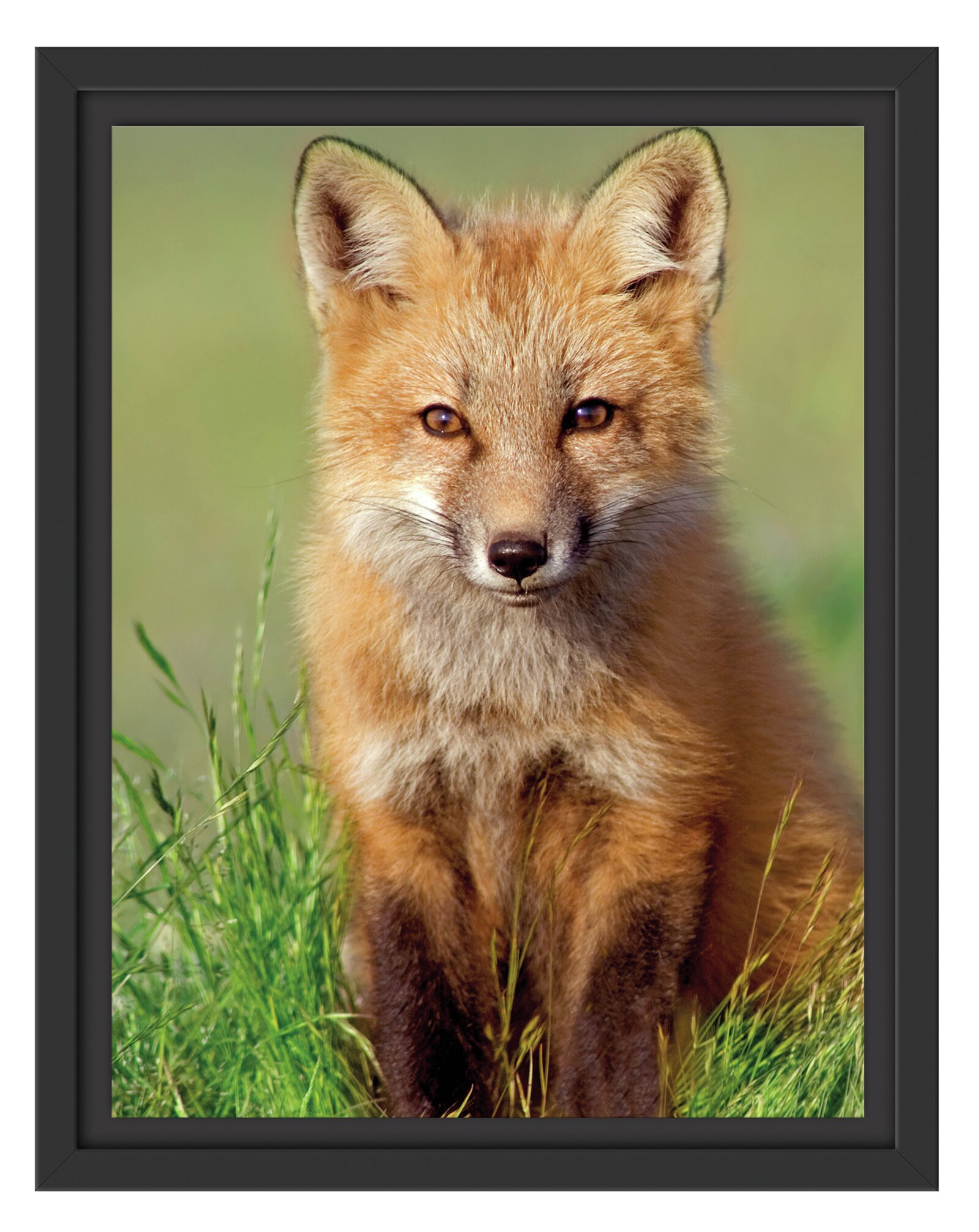 Wandbild aus Plexiglas® Druck auf Acryl 100x70 Tiere Fuchs 