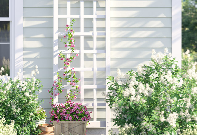 Our Favorite Garden Trellises