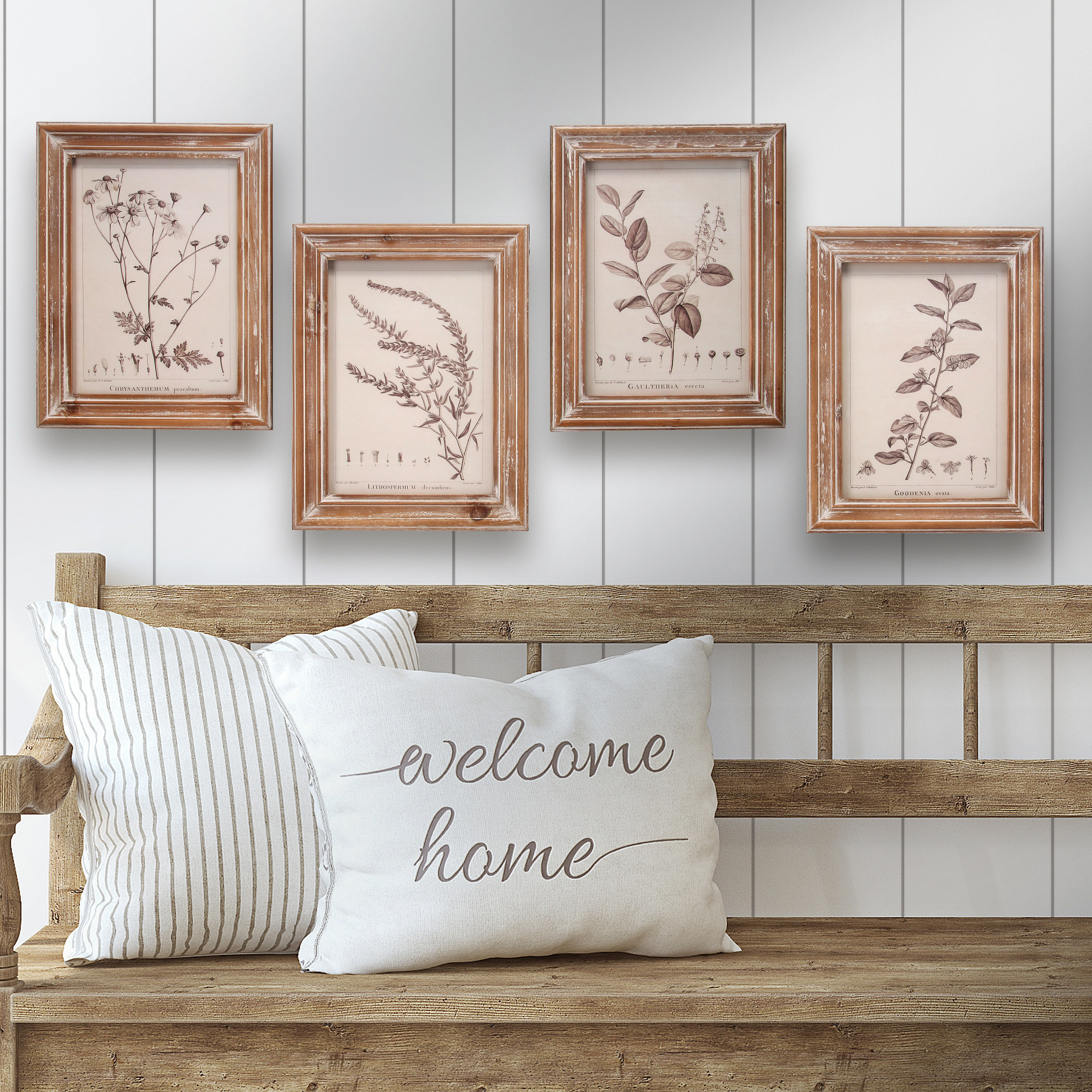 Regency International Sepia Floral 4 Piece Picture Frame Graphic Art