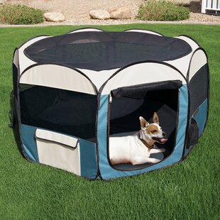 See More Colors Laura Ashley Medium Pop Up Pet Dog Kennel 