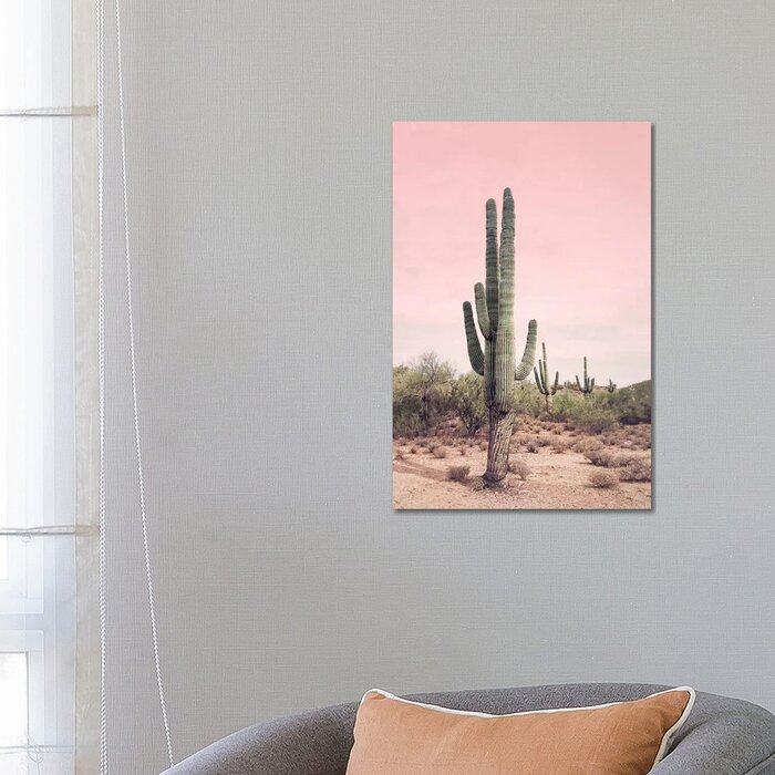 iCanvas Desert Cactus Blush by Sisi and Seb - Graphic Art Print | Wayfair