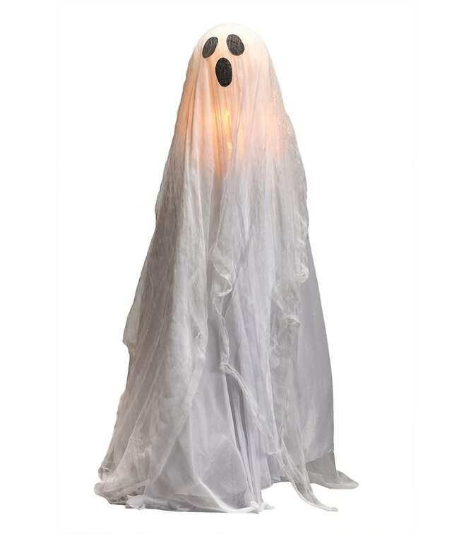 The Holiday Aisle® Glowing Ghost Lighted Display & Reviews | Wayfair