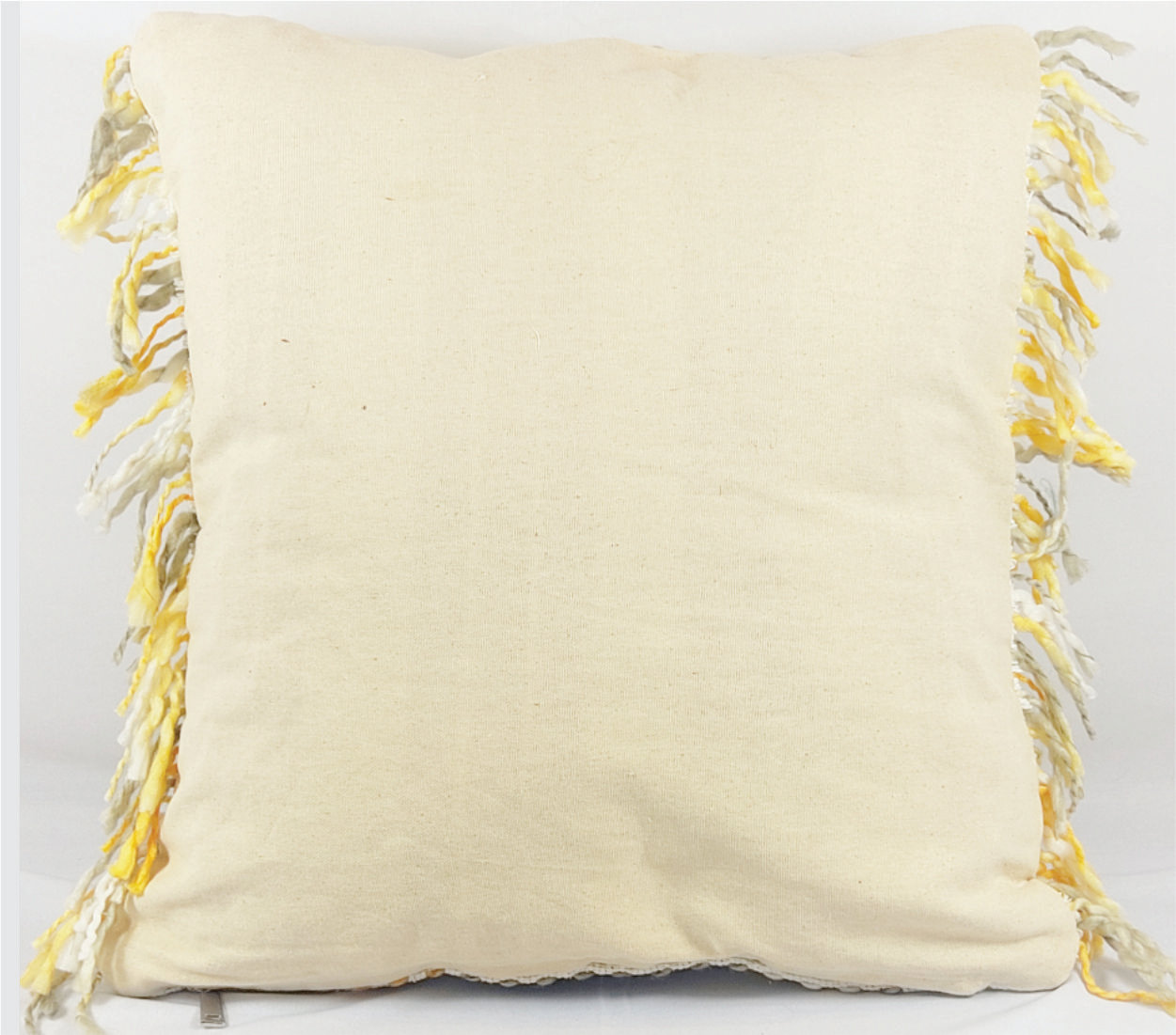 August Grove® Anneriet Fringed Pillow Cover Wayfair