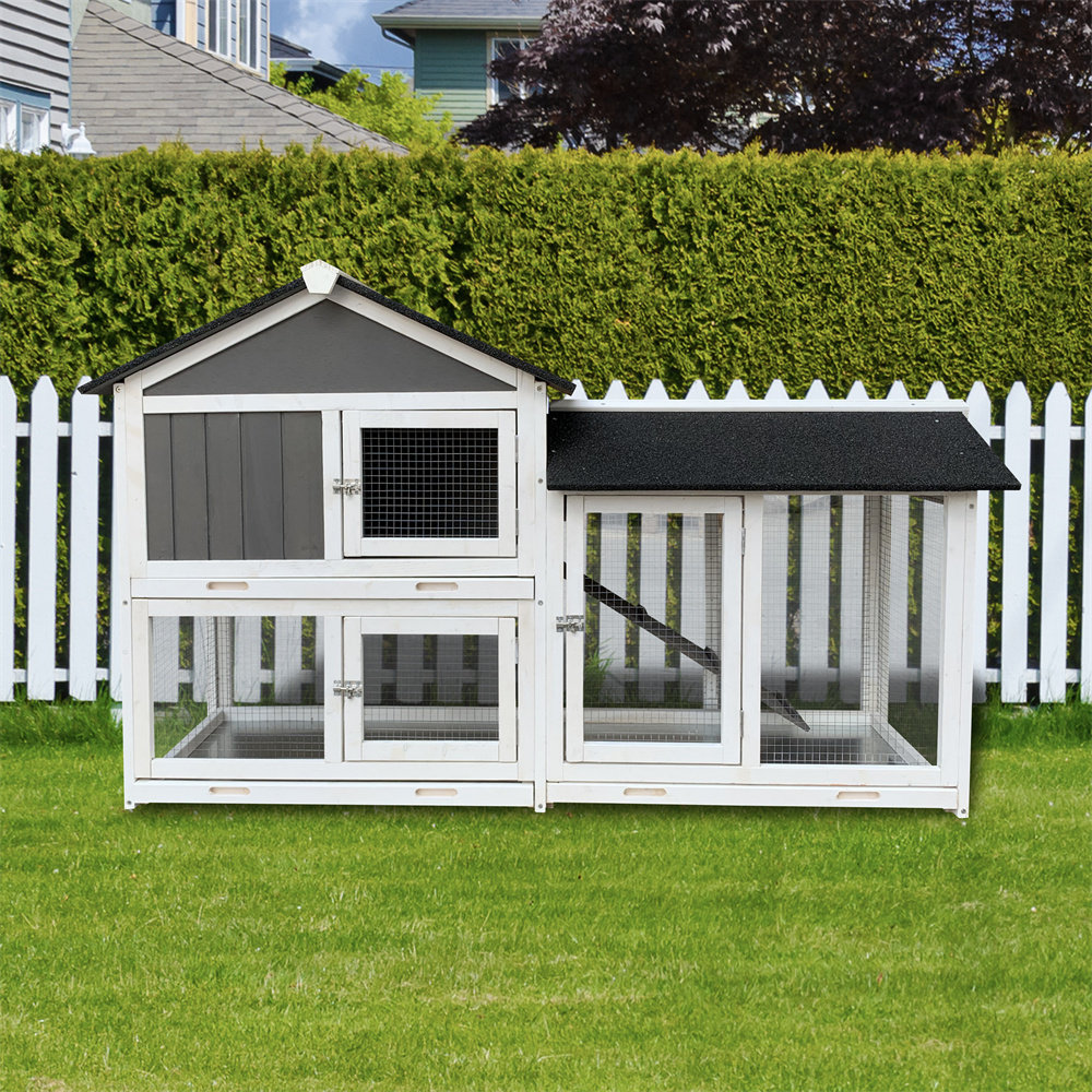 Tucker Murphy Pet™ Caggie 8.4 Square Feet Chicken Coop Wayfair