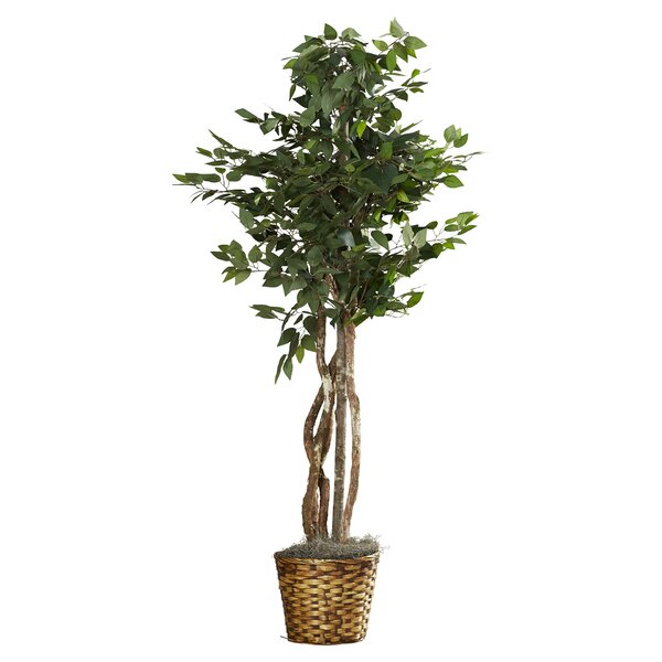 Nearly Natural 5402 6.5ft Deluxe Ficus Tree Green 48x48x78 for sale online 