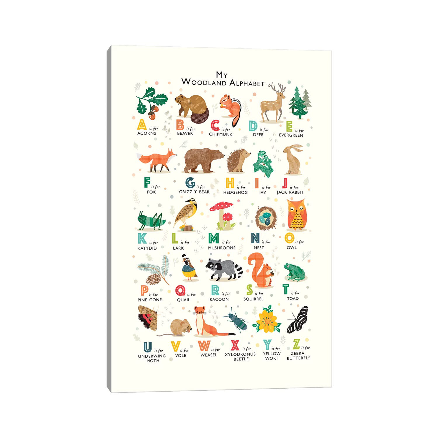 Isabelle & Max Woodland Alphabet Wrapped Canvas Graphic Art Wayfair