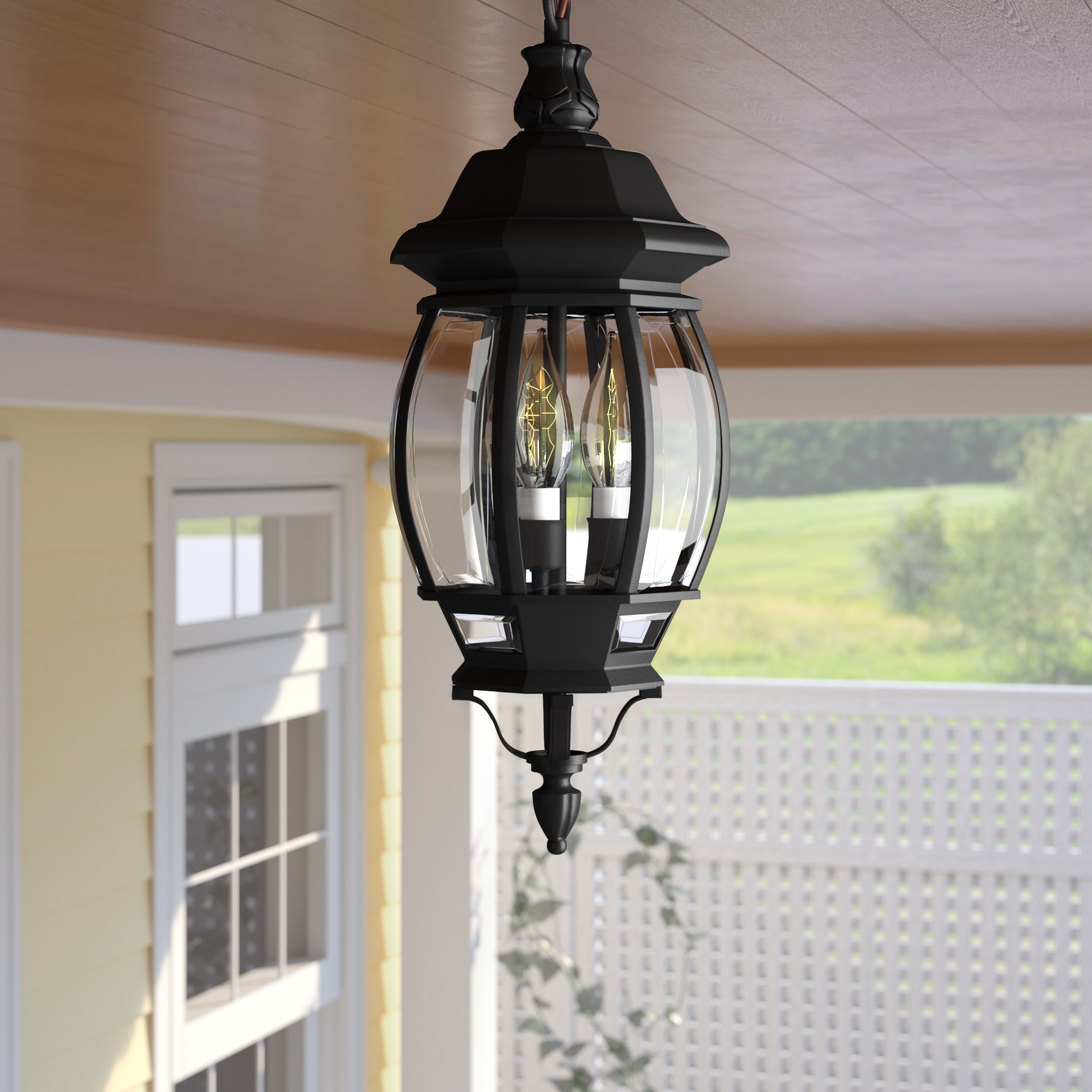 Bulb 20'' H Outdoor Hanging Lantern 