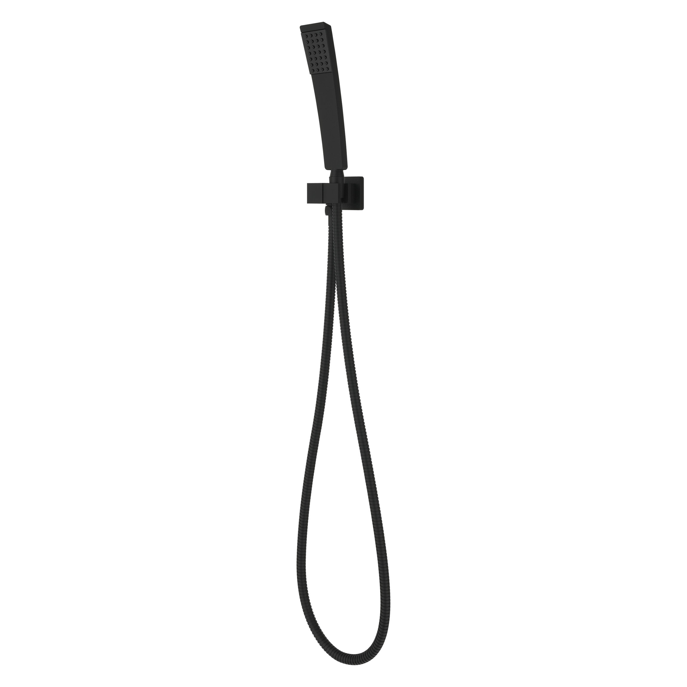 Pfister Full/Standard Handheld Shower Head Wayfair