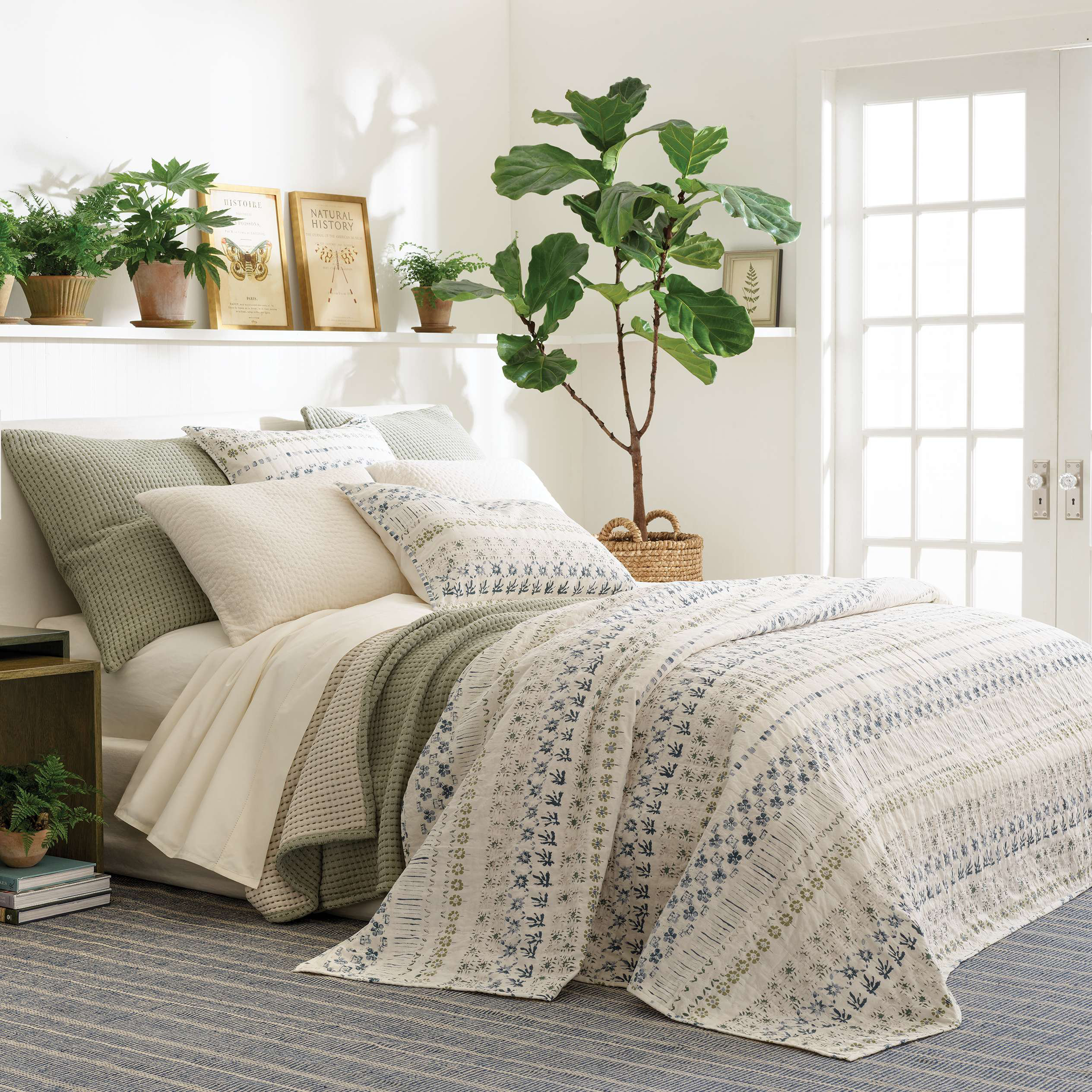 Hawthorn 100% Cotton Coverlet \u0026 Reviews 