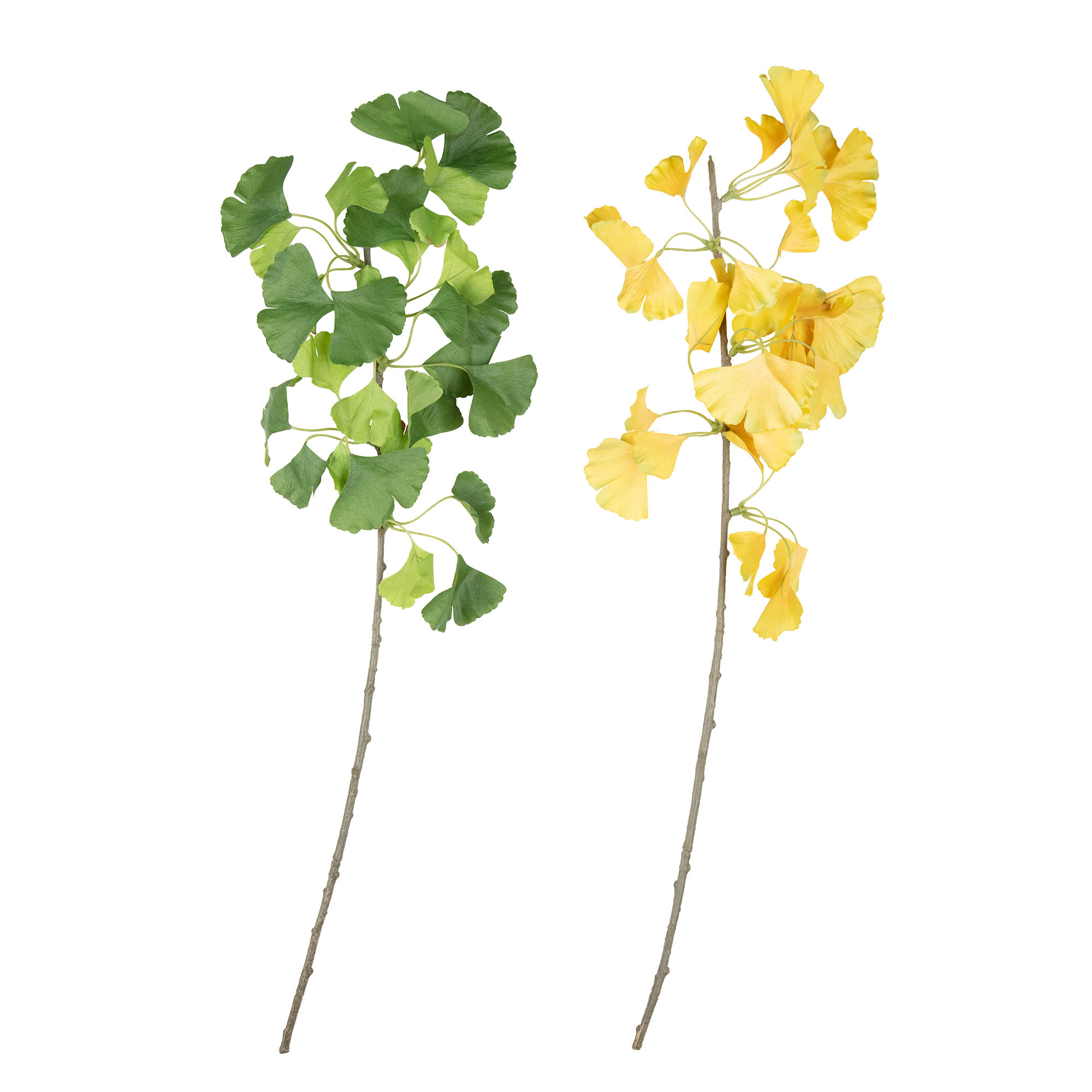 Primrue Ginkgo Artificial Leaf Tall Branches Wayfair