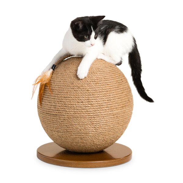 YOUDirect Wall Mounted Scratching Post Cat Scratching Post for Cat Cage Gri... 