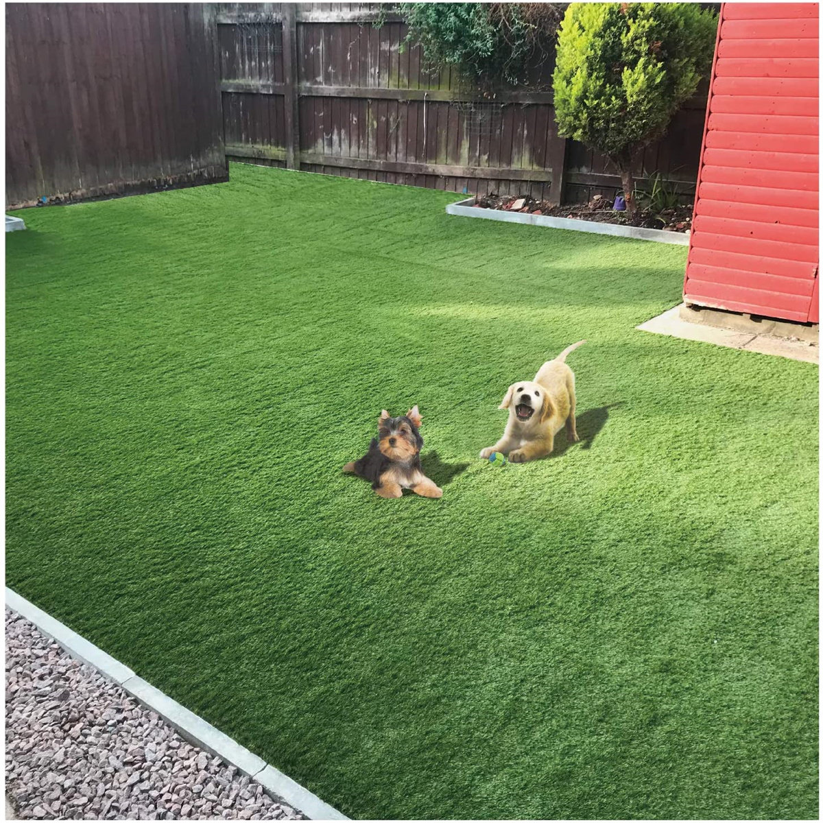 What Happens When Dogs Pee On Artificial Grass