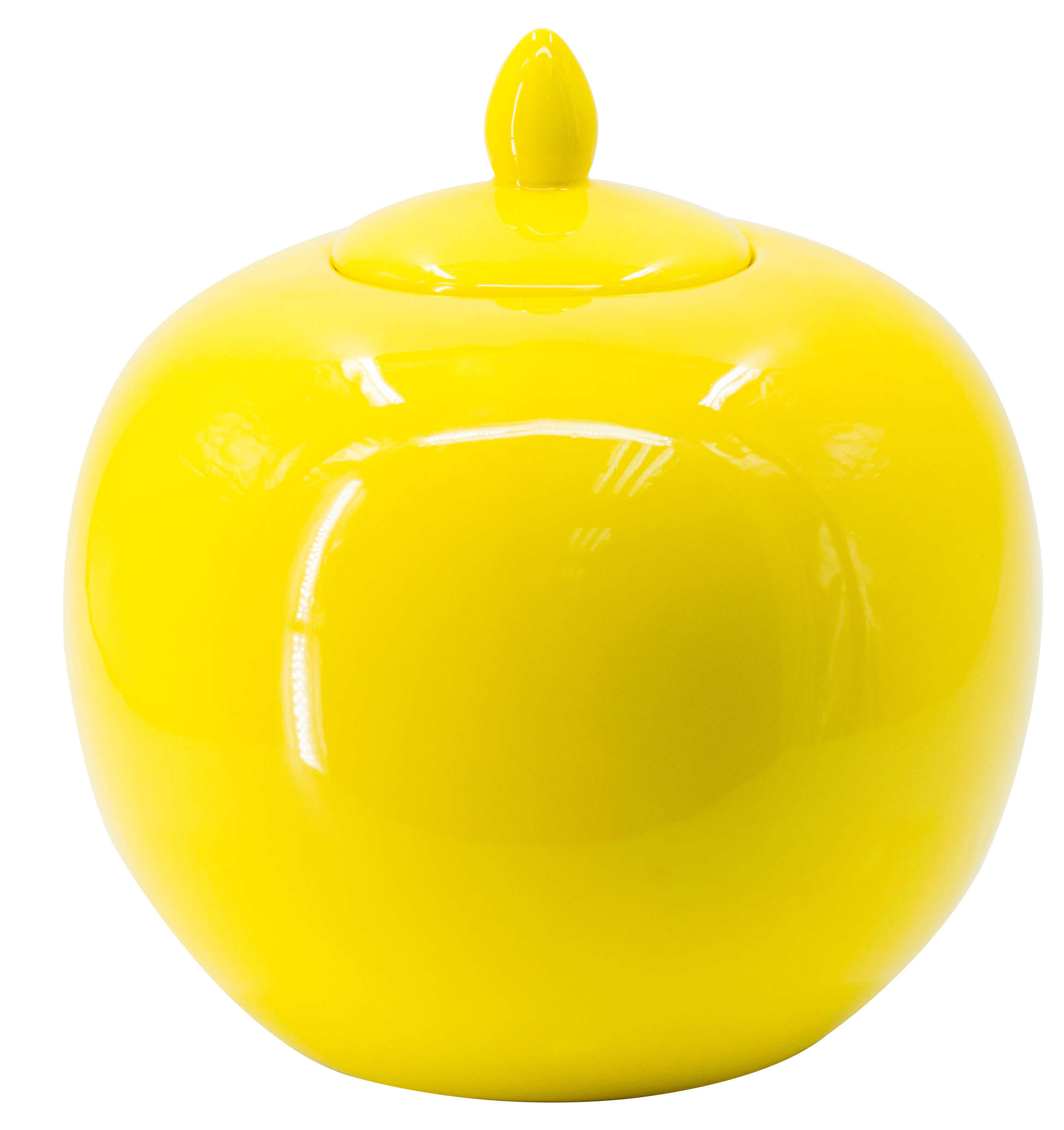 Ivy Bronx Ceramic Jar & Reviews Wayfair