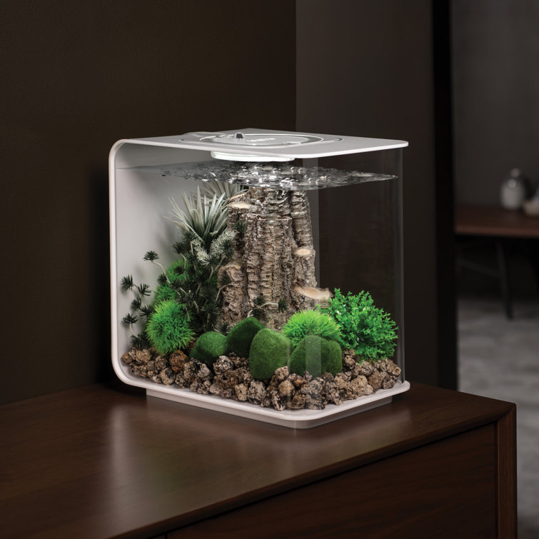 lumiere aquarium biorb