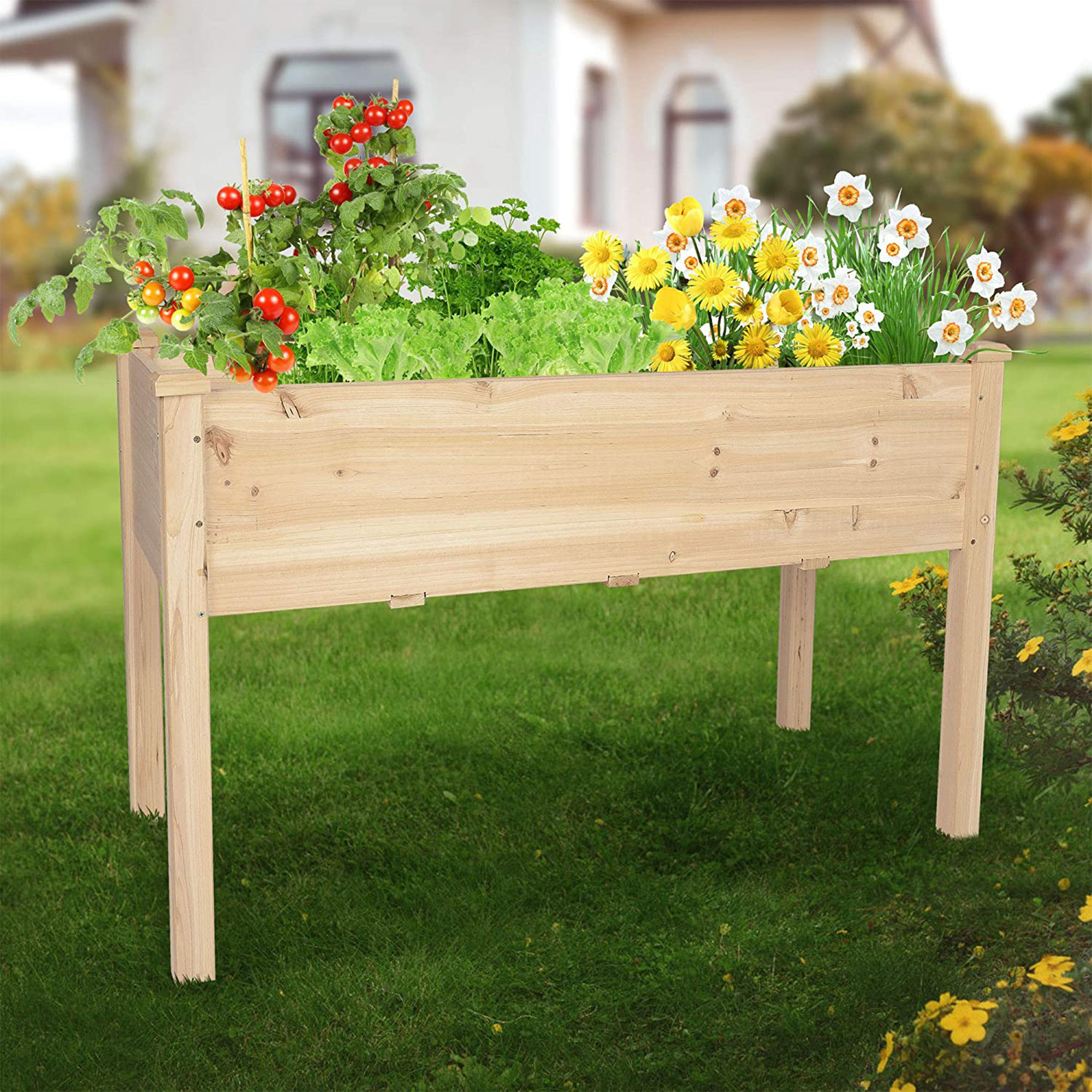 Arlmont & Co. Wood Elevated Planter Raised Garden Bed & Reviews Wayfair