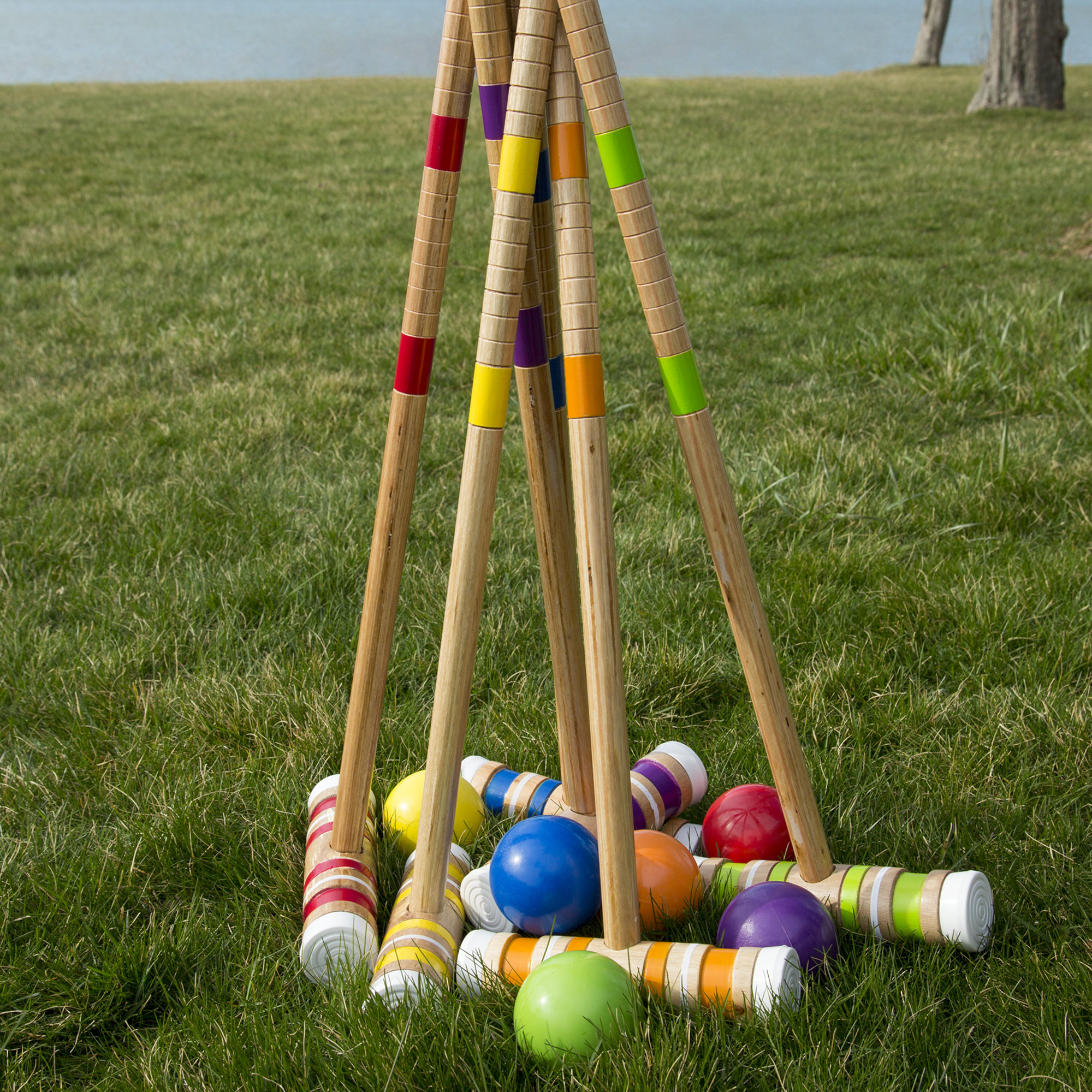 Hey! Play! 6 Player Croquet Set with Carrying Case & Reviews Wayfair