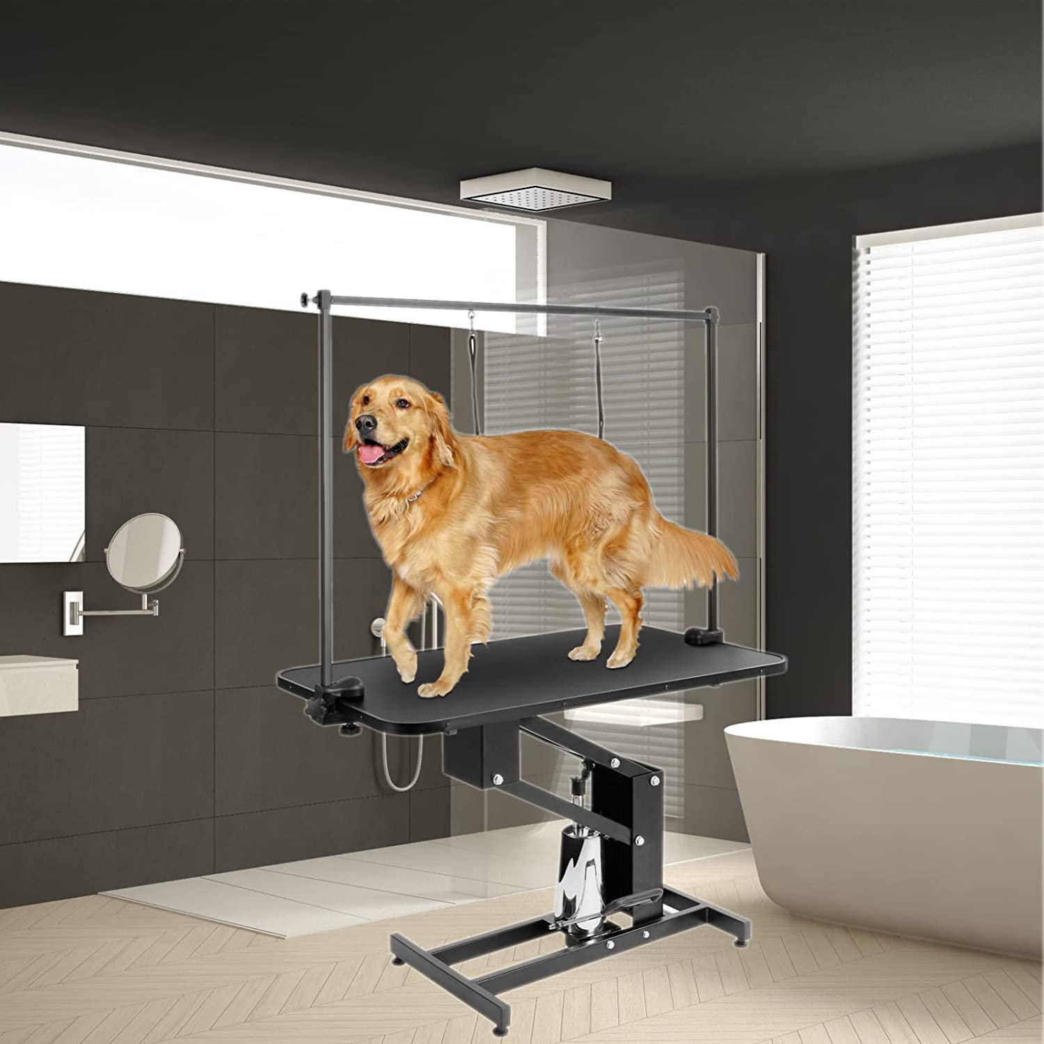 home dog spa