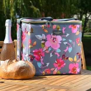 Preservation Portable for Picnic Family Outdoor Activities 6L Outdoor Cool Box Excursion Cooler Ideal for Picnics and Barbecues. 