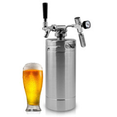 wayfair kegerator