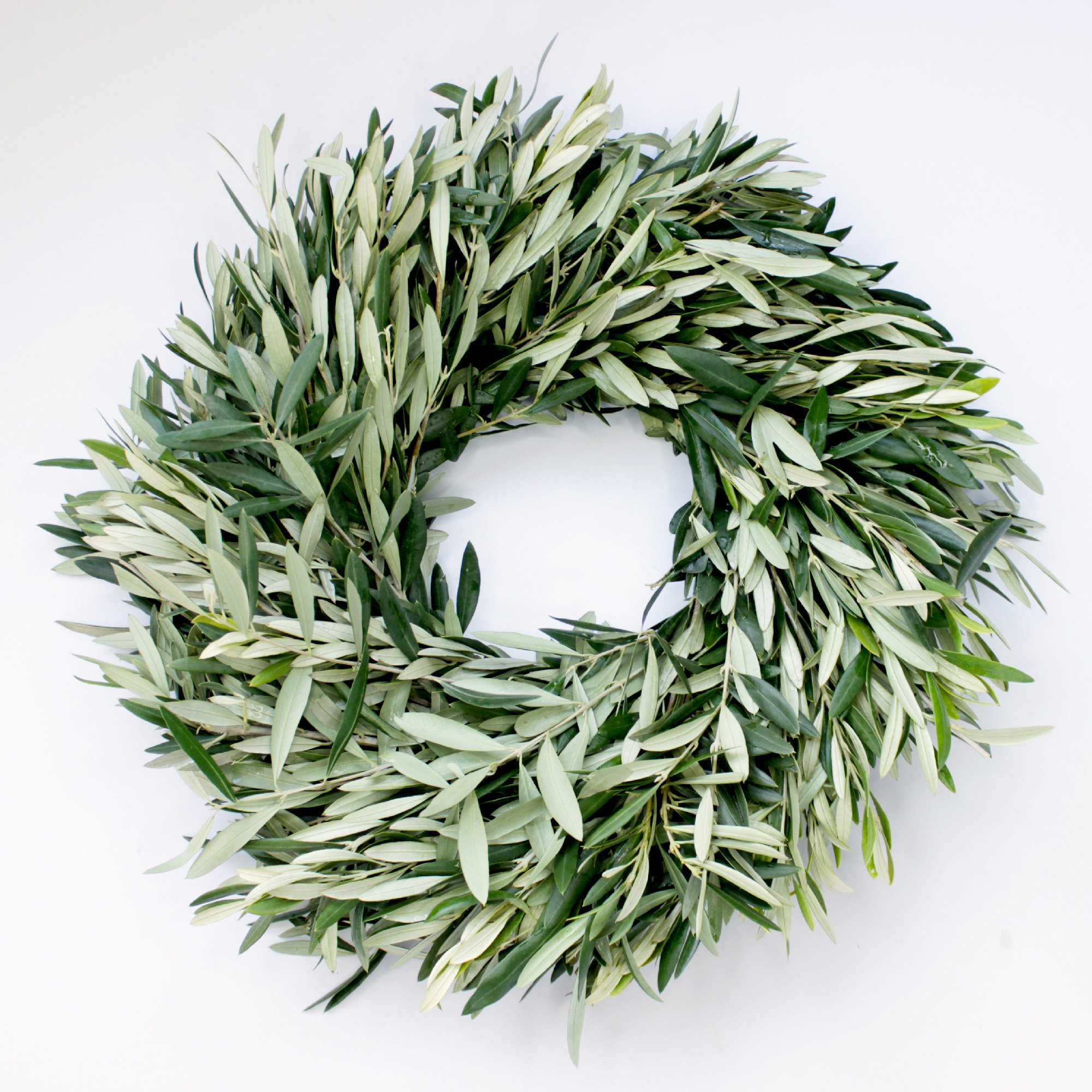 Primrue Handcrafted Fresh Olive Greenery 20'' Wreath Wayfair