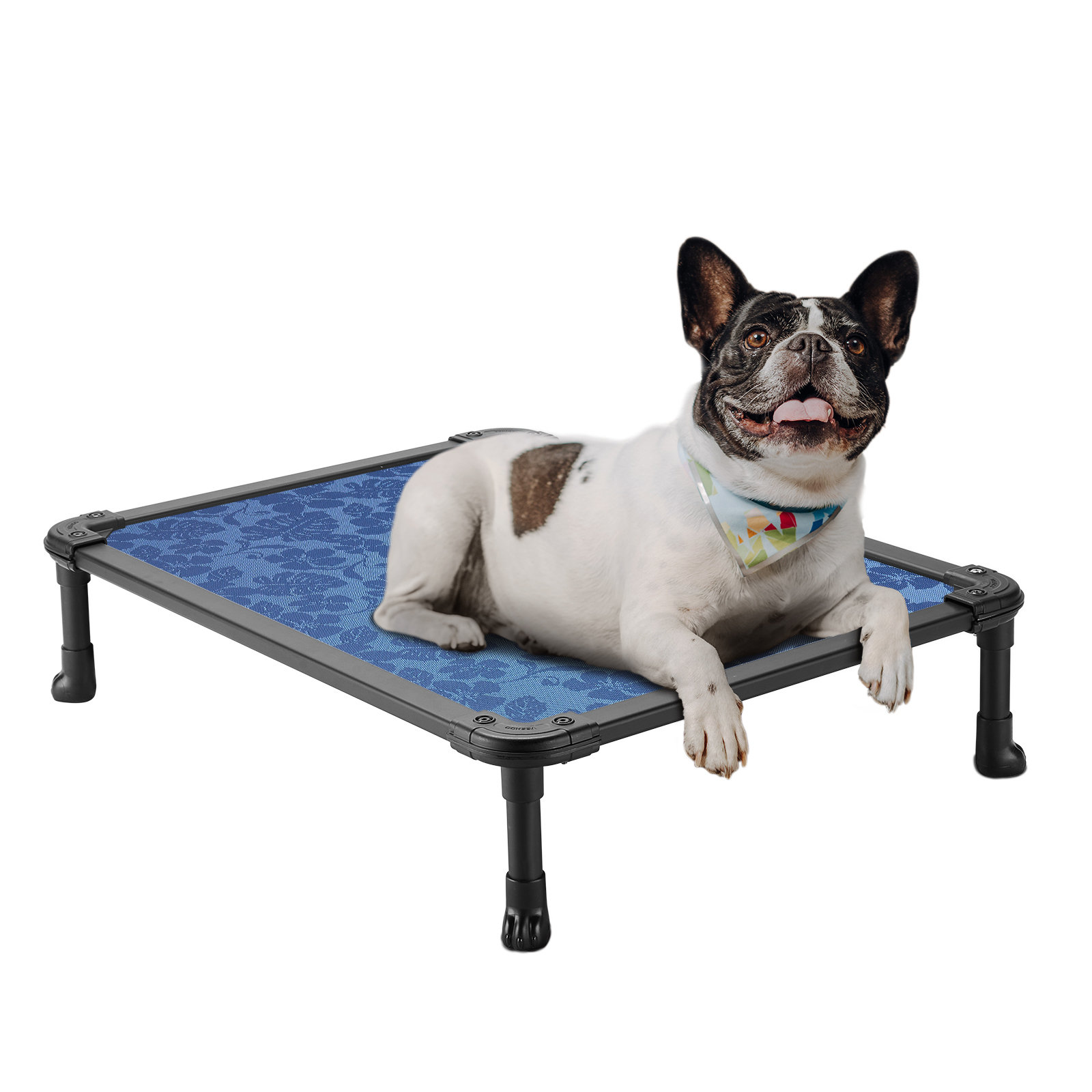 Tucker Murphy Pet Chew Proof Elevated Dog Bed Cooling Raised Pet Cot