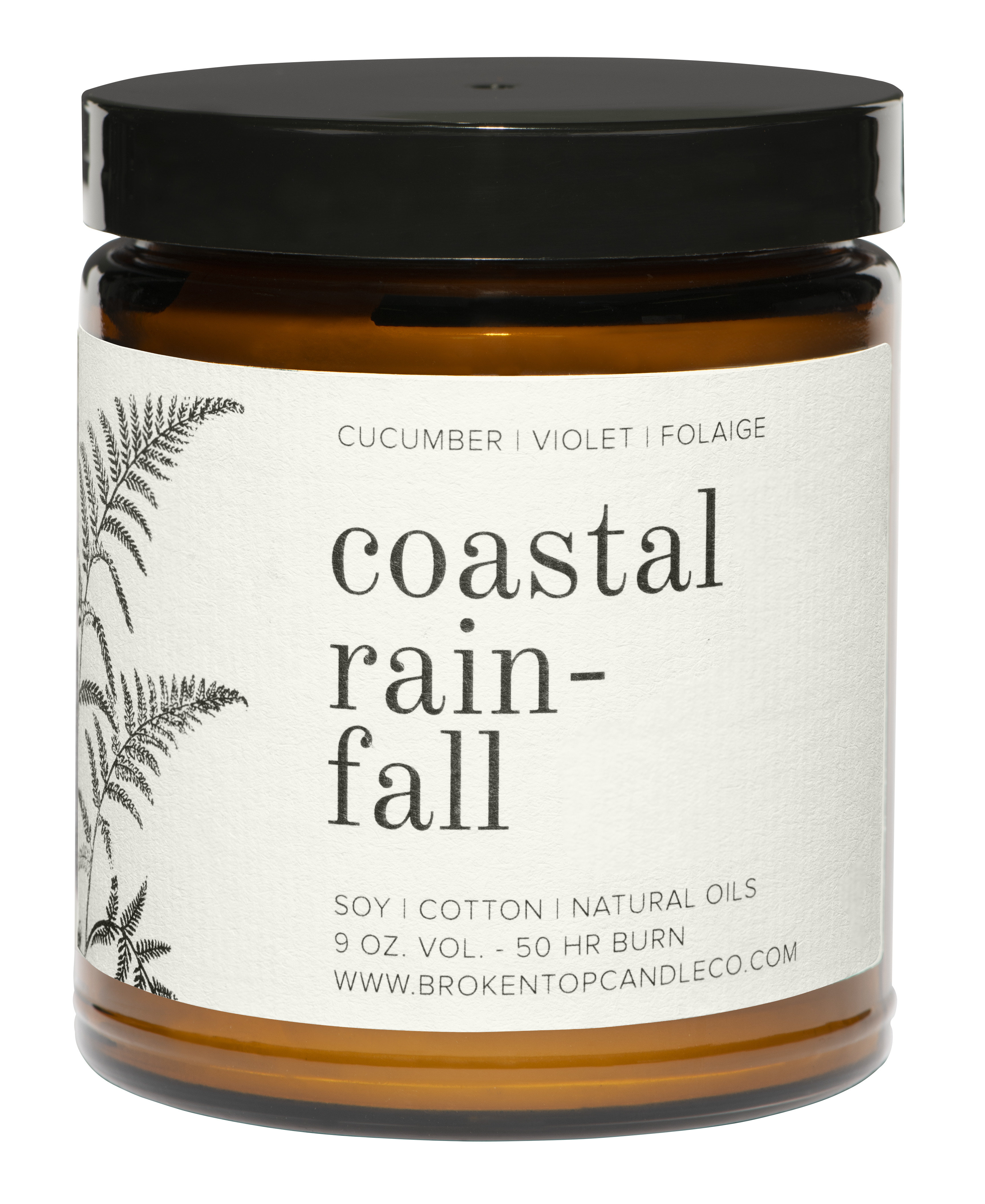 Broken Top Candle Company Coastal Rainfall Scented Jar Candle Wayfair