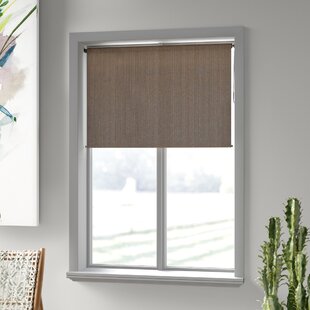 72 in W x72 in L Patio Blinds Window Treatments Exterior Roller Shade 