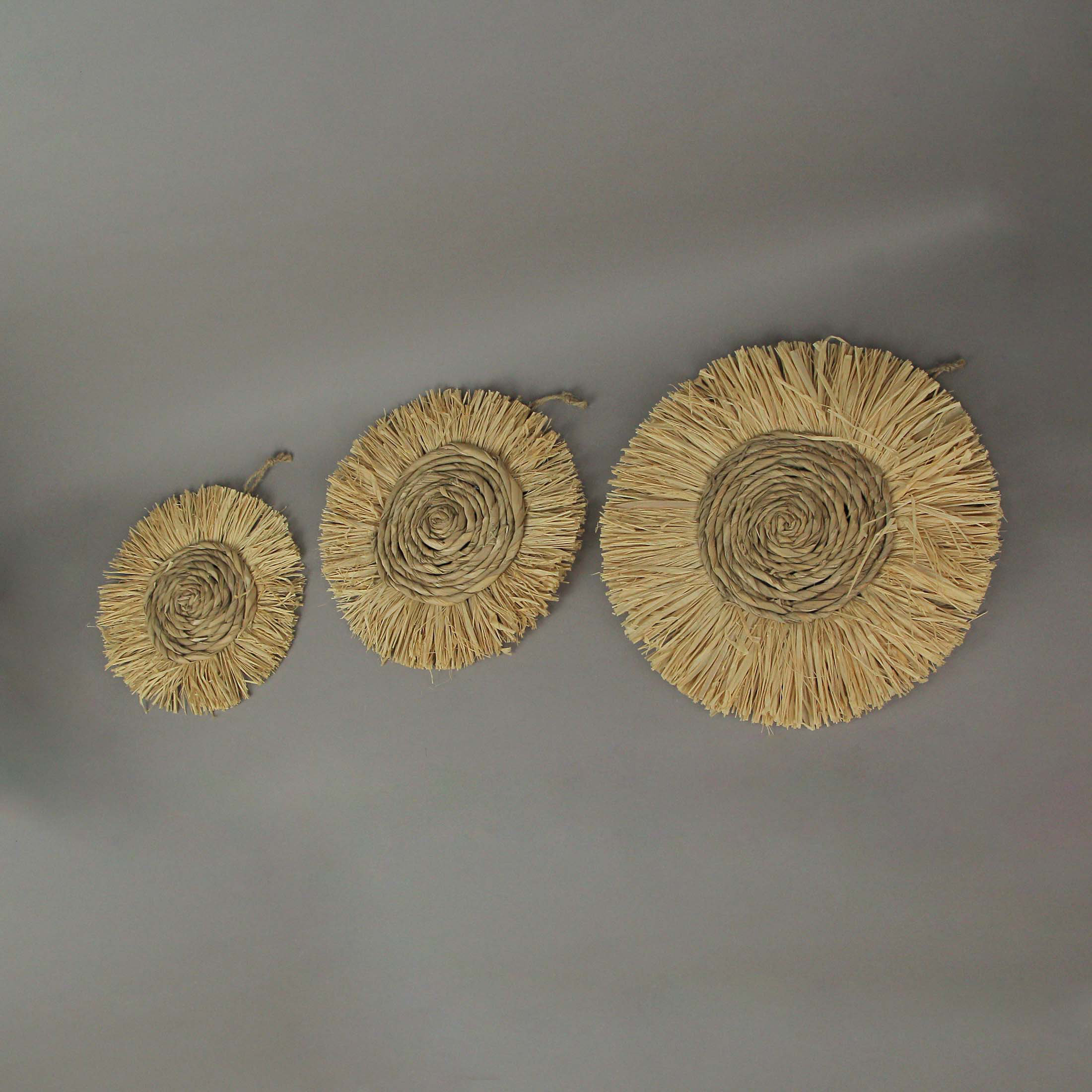 Dovecove Set Of 3 Round Natural Woven Dried Grass Wall Hanging Sculptures Home Decor Art Wayfair