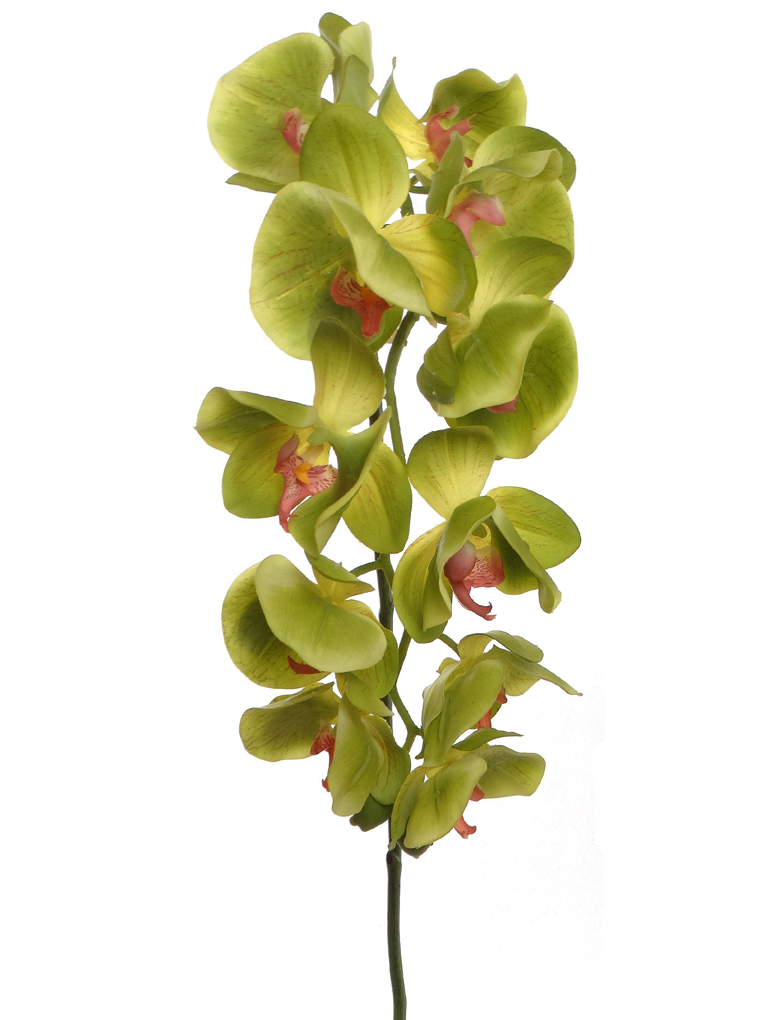 Primrue Premium Real Touch Silk Phalaenopsis Orchid Stems Wayfair