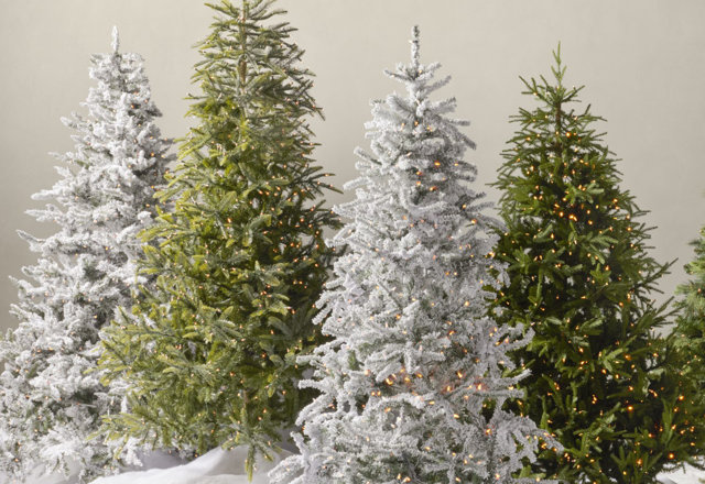 Must-Have Christmas Trees