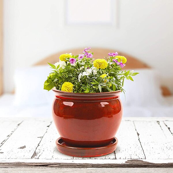 White Ceramic 4-Inch Scallop Design Succulent Planter Pots with Attached Sauc... 