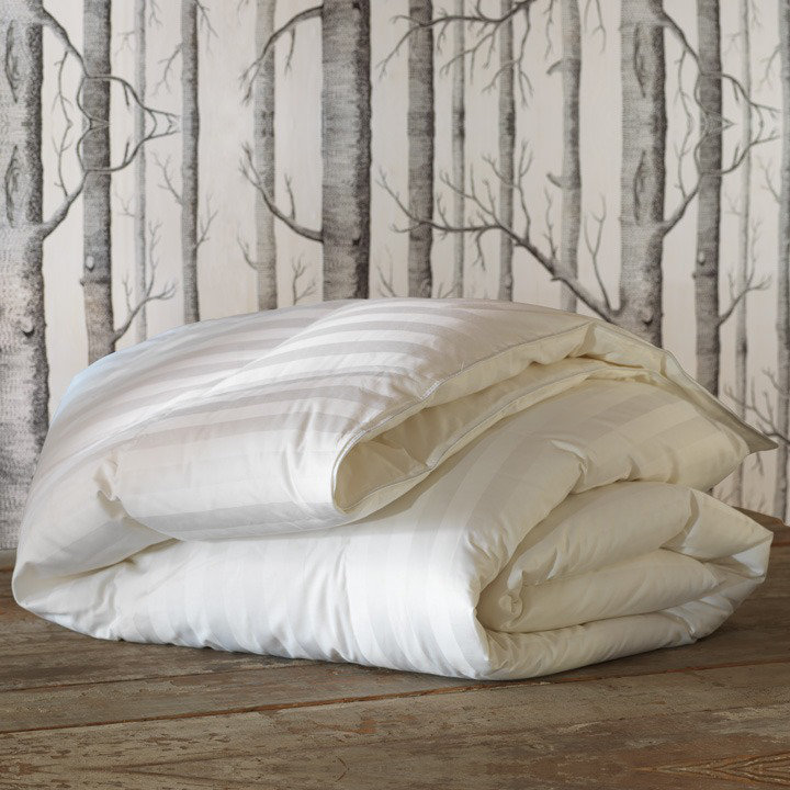 Eastern Accents Rhapsody Luxe 650 Summer Down Comforter Wayfair