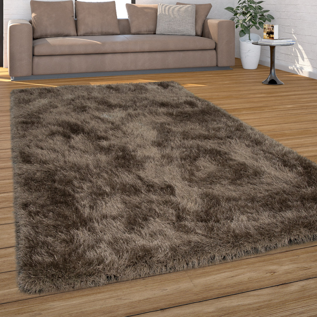 Rosdorf Park Shaggy-Teppich Etheridge in Beige Teppichgröße: Rechteckig 60 x 100 cm
