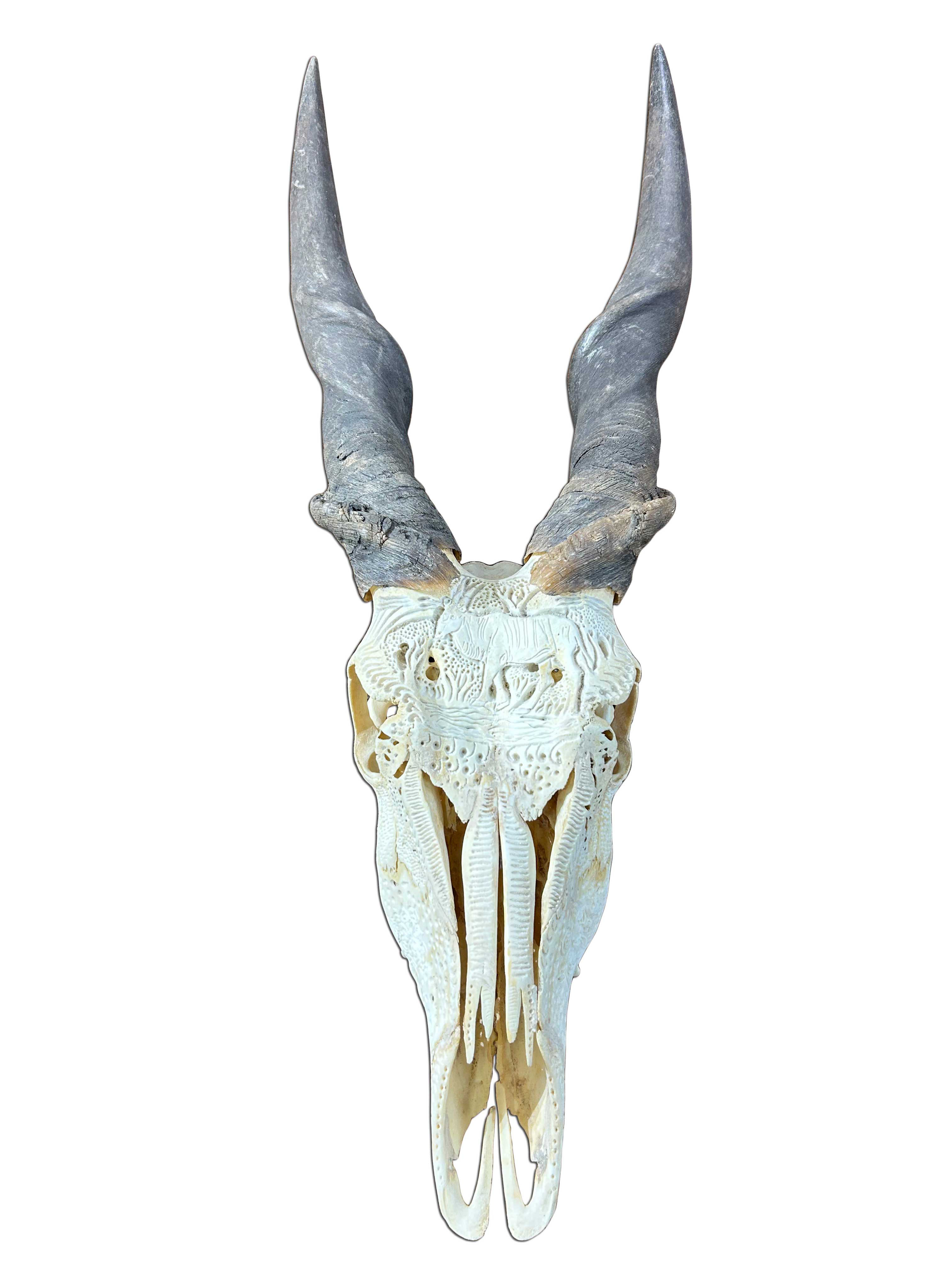 Cowhides USA Giant Carved Eland Skull | Wayfair