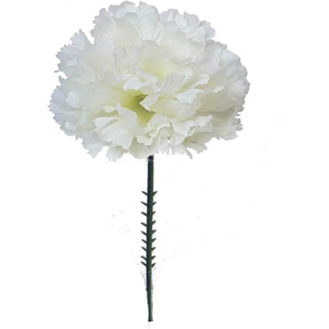 Primrue Carnations Stem Wayfair