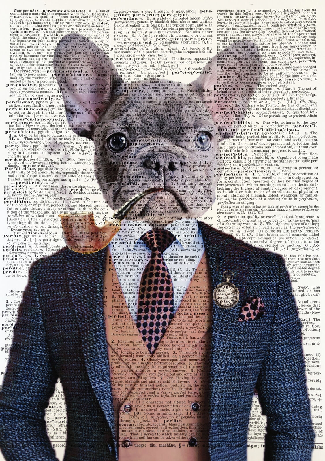 Maturi A3 Blue French Bulldog Frenchie Print - Regal Dog In Suit Picture -  Humanised Animal In Clothes 