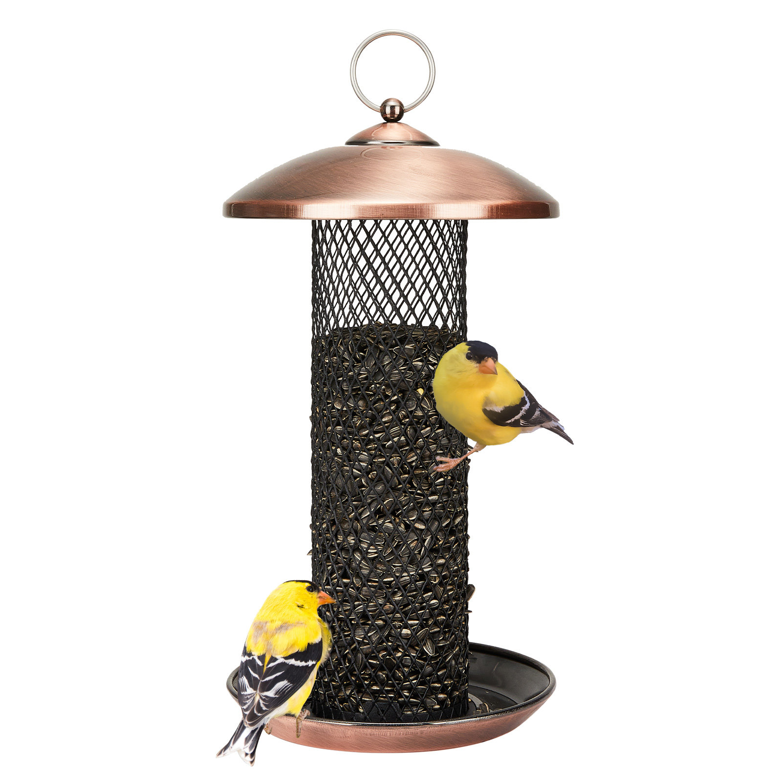Kingsyard Bird Feeder For Outdoor Hanging, ChewProof Heavy Duty Metal