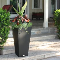 Objected Subordinate lb Wayfair | 30+ inches Planters You'll Love in 2022