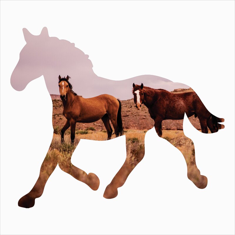 Horse Silhouette Metal Laser Cut Wall Decoration