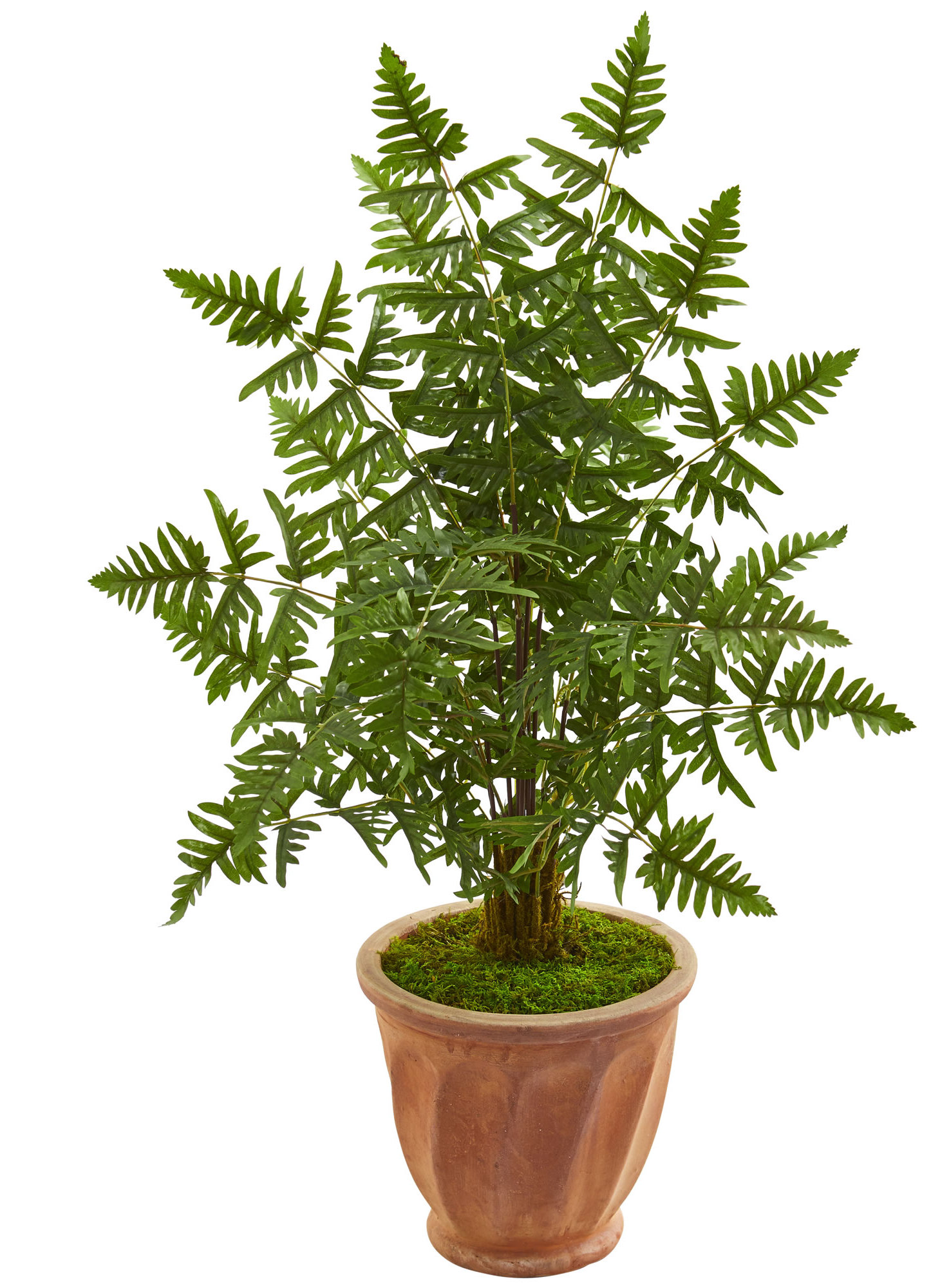 Bay Isle Home 42'' Faux Palm Tree in Terracotta Planter Wayfair