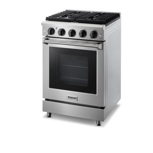 24 inch induction oven