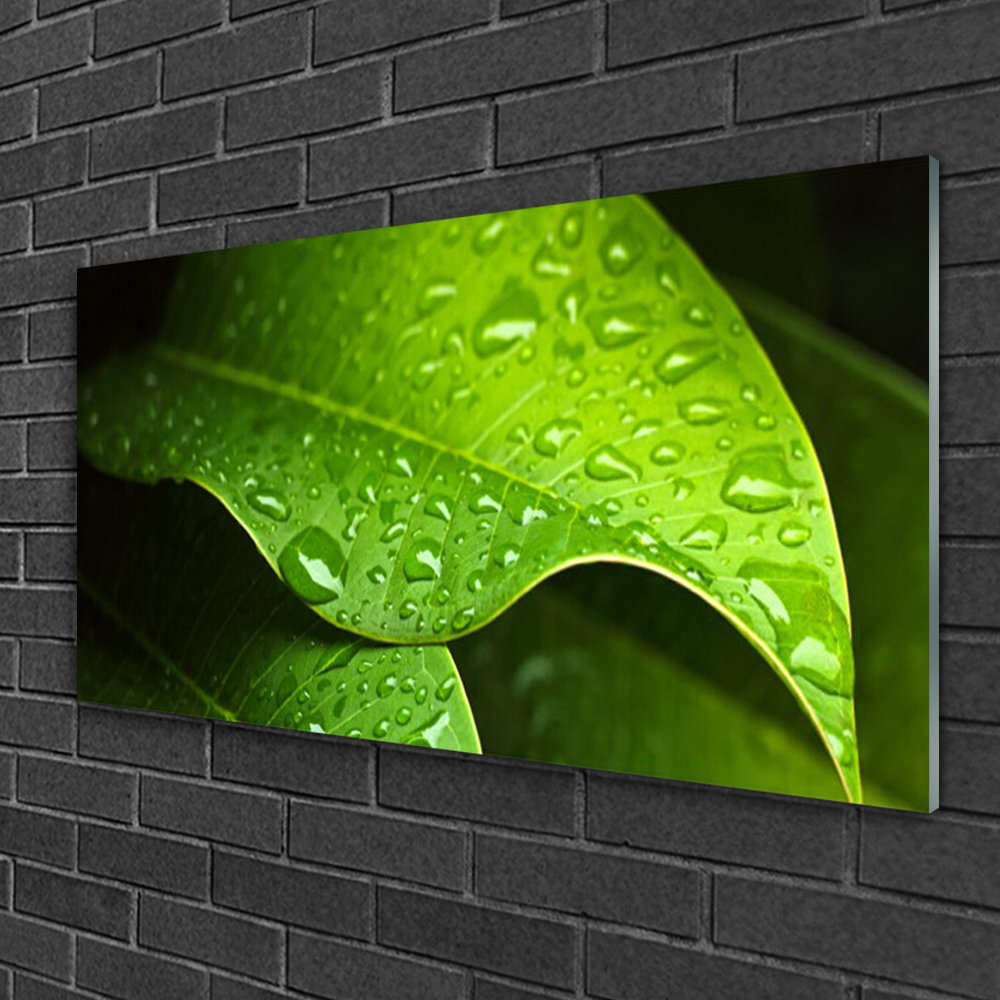 Ivy Bronx Glass Print Wall Art 100X50cm Image Printed On Glass