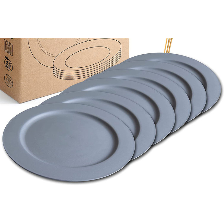 Details about   Pack of 4 Sturdy Matte Gray Microwave Safe Plates 10" BPA-FREE & Dishwasher Safe 