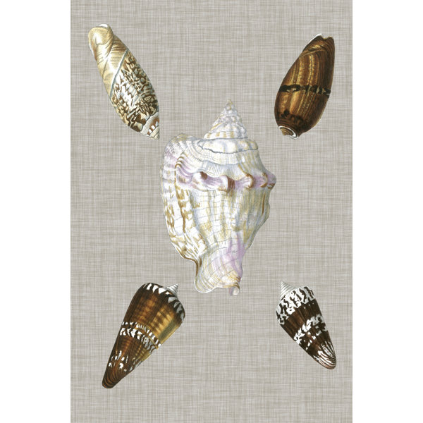 Shell Linen Backdrop House of Hampton Shells On Linen II | Wayfair.co.uk